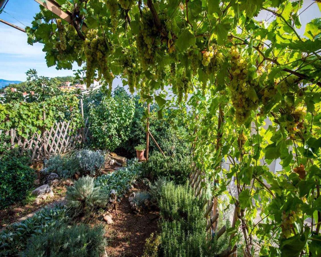 Apartments In Vrbnik/Insel Krk 13597 외부 사진